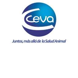 Ceva